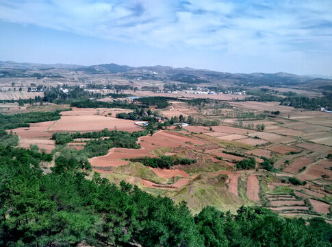 田野