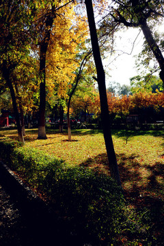 烏魯木齊人民公園風(fēng)景