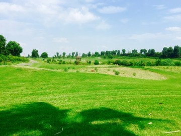 高爾夫景觀