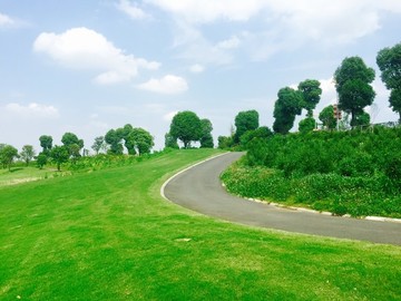 高爾夫球場(chǎng)草坪