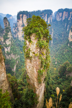 張家界武陵源袁家界懸浮山