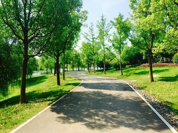 美麗的長沙洋湖體育公園