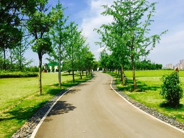 美麗的長(zhǎng)沙洋湖體育公園