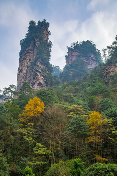 張家界武陵源森林公園