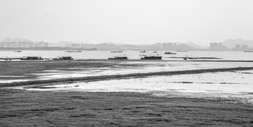 洞庭湖景