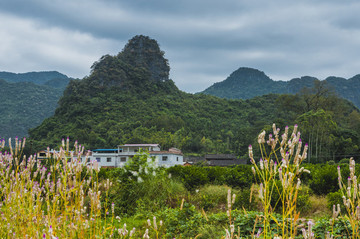 山嶺風(fēng)光