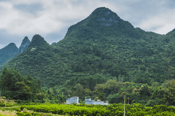 山嶺風(fēng)光