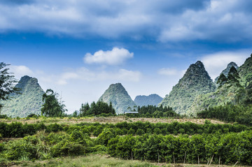 山嶺風(fēng)光