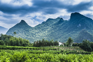 山野風(fēng)光