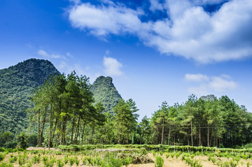 山景風(fēng)光