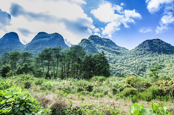 山景風(fēng)光