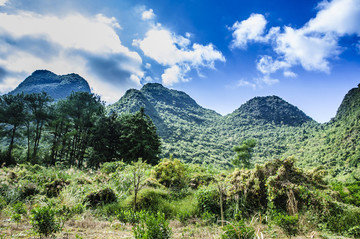 山景風光