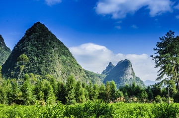 山景風(fēng)光