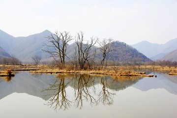 神龍架大九湖