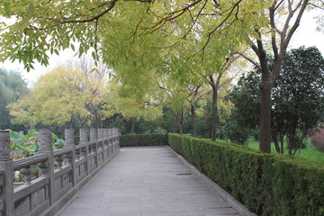 洛陽白馬寺風景
