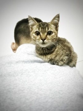 陪伴