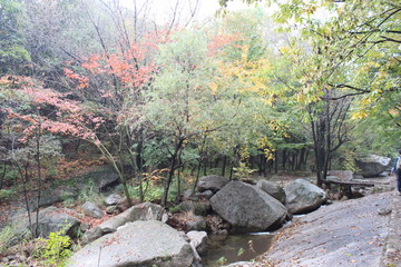 洛陽(yáng)天池山