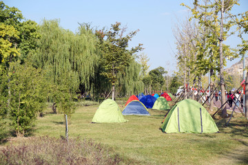 公園草地上支起的帳篷
