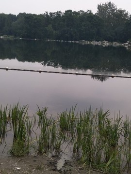 湖泊