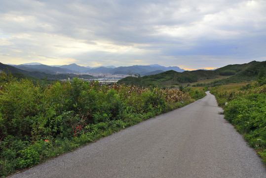 鄉(xiāng)村道路