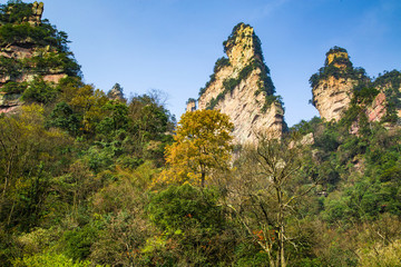 張家界武陵源天子山