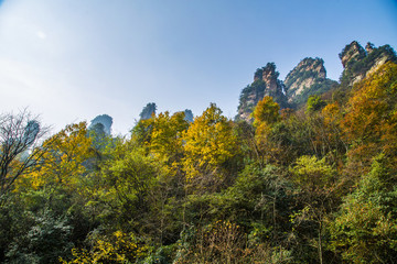 張家界武陵源天子山