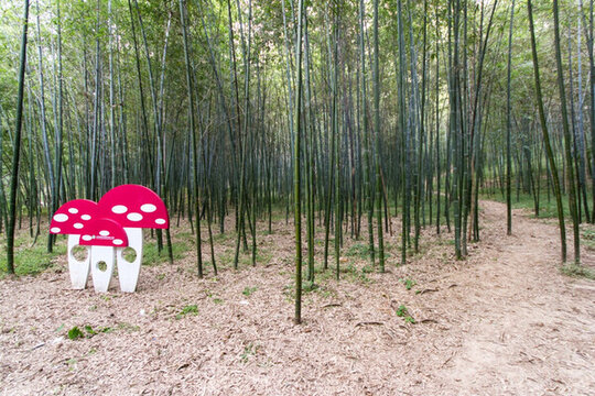 樓觀臺(tái)竹林
