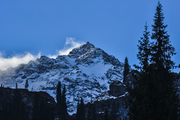 天山山地森林