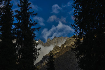 天山森林