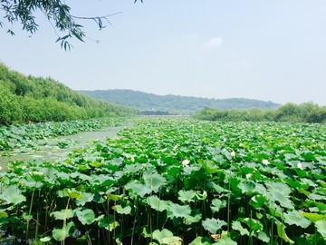 太湖三山島風光