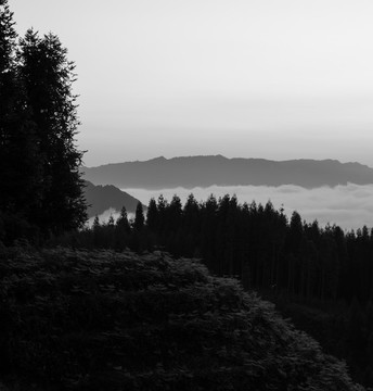 黑白水墨山水