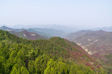 青州仰天山秋景