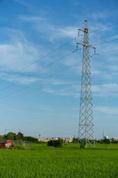 麥田與電塔