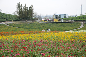 花田