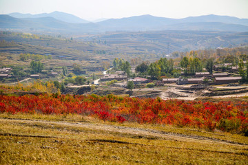 張家口草原天路