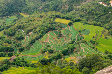 農(nóng)田