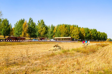 張家口草原天路