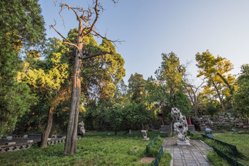 青州偶園