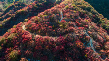 金秋時節(jié)層林盡染