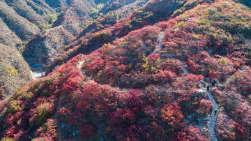 金秋時節(jié)層林盡染