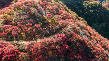 金秋時節(jié)層林盡染