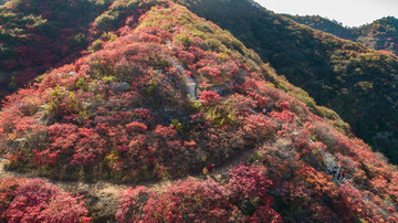金秋時節(jié)層林盡染