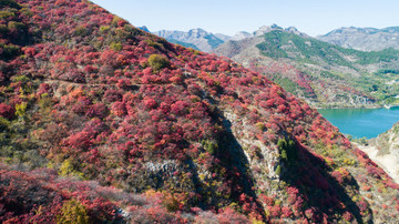 金秋時(shí)節(jié)層林盡染