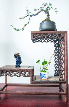 盆景盆栽