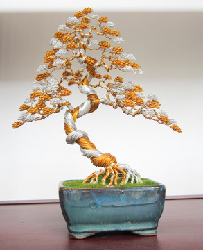 盆景盆栽