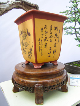 盆景盆栽