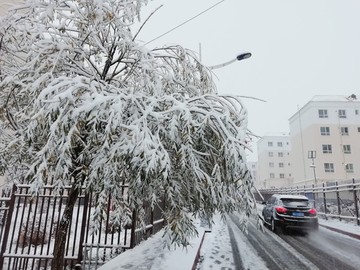 冬雪