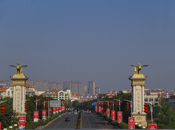 碧桂園地產(chǎn)