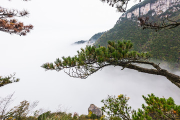 廬山秋色