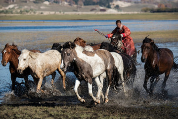 小馬過河